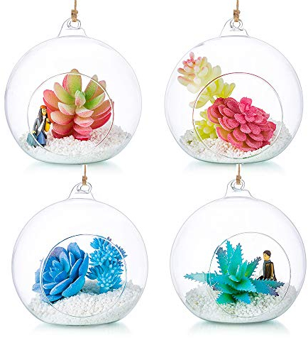 Hängende Glaskugel Vase Glaskugel 4 Pcs Große Öffnung Sukkulenten Aufhängen Terrarium Glas Flower Air Pflanzgefäß Container 4.72 Inches für Home Party Hochzeitsgarten DIY Desig
