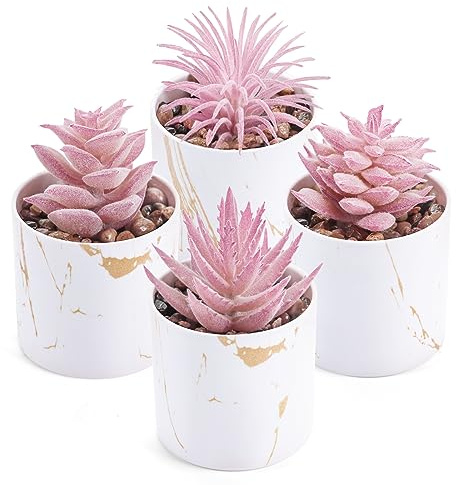 Der Rose Paquete de 4 Plantas suculentas Artificiales para Interiores para habitación Rosa, decoración de baño, Oficina, Escritorio, Accesorios para Mujeres