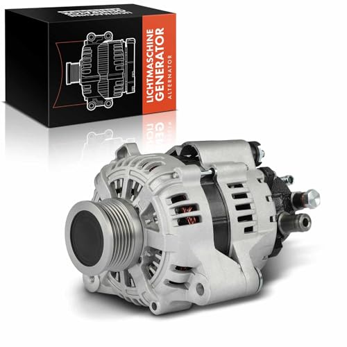 Frankberg Alternador con Polea de Rueda Libre Diesel Compatible con Santa Fé II CM 2.2L Magentis M.G 2.0L Tucson JM 2.0L Carens III MPV UN 2.0L Sportage JE KM 2.0L Replace# 02131-9261