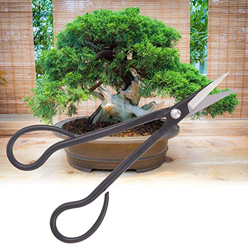 Clad Stahl Bonsai Schere Bonsai Schere, Scherschere Scher Lange Griff Rasengarten 185 Mm