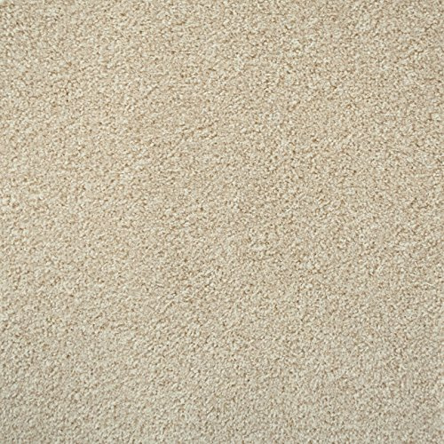 247Floors Flecked Twist Pile Carpet Roll, Hardwearing Felt Backing (5.5m x 4m, Cream)