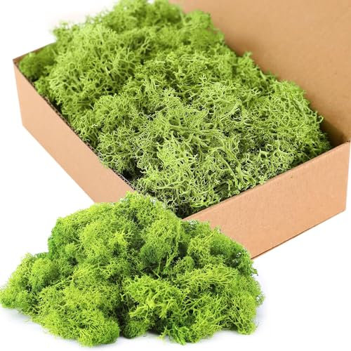 HRKVSK Moos Zum Basteln, 200g Islandmoos zum Basteln, Moos Deko, Konserviertes Moos, Künstliches Moos, Kunstmoos, Moos Konserviert, Bastelmoos für Moosbilder, Als Deko Oder Zum Basteln