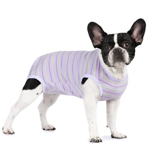 Miaododo Puppy Striped Recovery Suit for Female Male Dogs Cats,Zip Up Dog Onesie Recovery Shirt Abdominal Wounds,Professional Spay Neuter Dog Pet Bodysuit After Surgery Wear Anti Licking Wounds