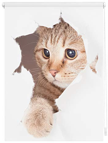 Lichtblick Klemmfix Verdunklungs-Rollo mit Motiv, ohne Bohren, Blickdicht, Seitenzugrollo, Made in Germany, Katze - Weiß Braun 45 x 150 cm (B x L)