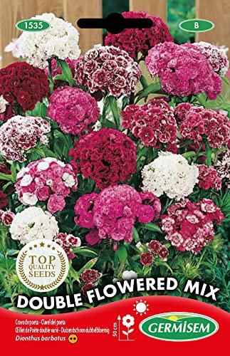 Germisem Graines Œillet de Poète double varié DOUBLE FLOWERED MIX