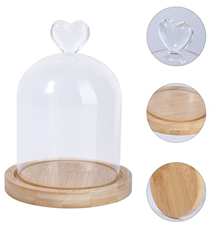 DEARMAMY Cloche À En Verre Avec Base En Bois Cloche D'affichage En Verre Transparent D'affichage De Fleurs Séchées Couvercle En Pour La Décoration De La Maison Présentoirs