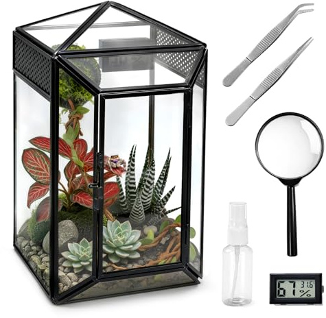 Clioran Glass Jumping Spider Enclosure Kit – Escape Proof Insect Terrarium & Desktop Display Habitat for Jumping Spiders, Praying Mantis & Arboreal Tarantulas, Minimalist Critter Keeper (No Plants)
