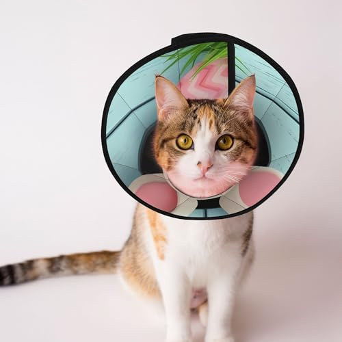Qewfoju White Bunny Bottom and Easter Eggs Print Cat Cone Collar Cats Neck After Surgery to Stop Licking and Scratch Cone Lightweight Pet Head Cones for Cats
