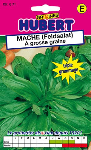 Graines de Mache (Feldsalat) a grosse graine - 12 grammes
