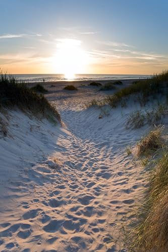 adrium Acryl-Bild 70 x 110 cm: Ostsee-Strand im Abendlicht. (105339747)