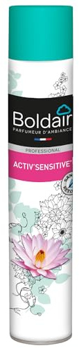 BOLDAIR - Désodorisant Aromathérapie activ' Patchoouli - Spécial Personnes Sensibles - Anti allergies - Pulvérisation sèche - sans retombées humides - 500ML - Fabrication française