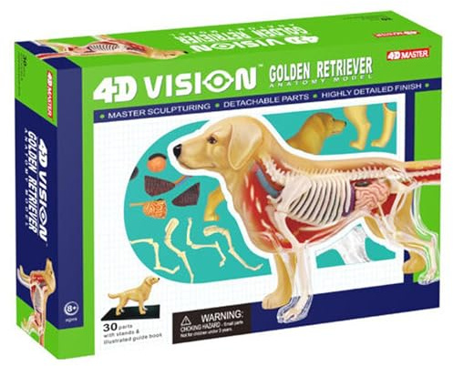 4D Vision Golden Retriever Hundben Skelett och Anatomi Modell Kit Intelligens Montering Leksak Undervisning Modell, Djur Anatomi Modell