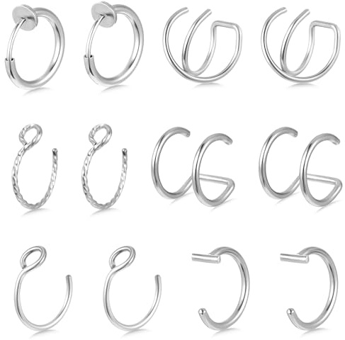 12 pièces Ensemble de faux anneaux de piercing nasal Faux anneau de nez fin Anneau de piercing pour les lèvres Anneau de piercing nasal en argent Anneaux de piercing nasal en acier inoxydable Ensemble