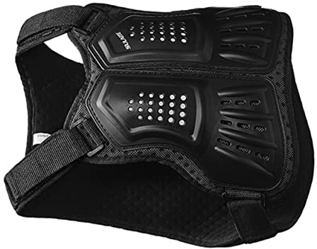 BESPORTBLE Kids Protective Vest Anti-Collision Body Protection Gear for Cycling Outdoor Sports Adjustable Elastic Waist Straps Cushioned Back and Spine Padding Size L
