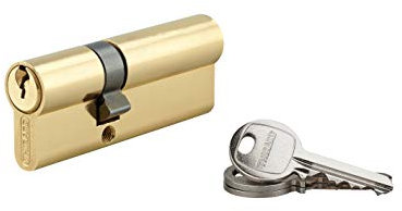 THIRARD - Cylindre à clé crantée 30 x 50 mm laitonné 3 clés