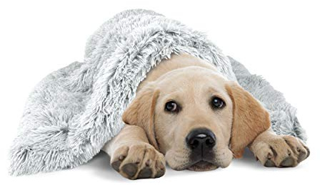 The Dog’s Blanket Sound Sleep Donut Dog Blanket, Large Ice White, Calming, Anti-Anxiety Snuggler Blanket, Veterinary Approved