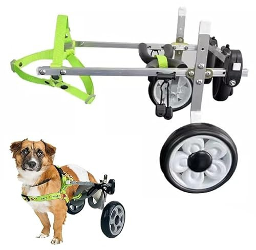 Attrezzatura assistiva per attività di camminata per cani di piccola taglia, addestramento assistito per sedia a rotelle, cane disabile e scooter assistito per cani anziani, sedia a rotelle portatile