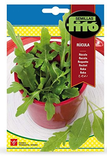Semilla Rúcula - Semillas Fitó