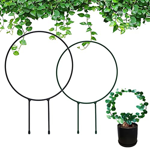 Traliccio da Giardino per Piante Rampicanti Metallo 2 Pz, Rotondo Decorativo Metallo Giardino Pali di Supporto Pianta per Indoor ed Outdoor Ivy Hoya Pianta