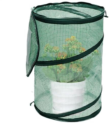 Invernadero plegable para plantas de interior, protección contra el viento para mesa y balcón | para plantas compactas | Invernadero de interior plegable, pequeño invernadero para patio, jardín