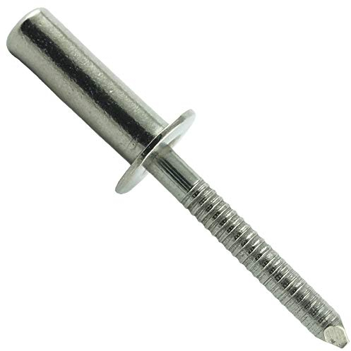 Eisenwaren2000 | 4,8 x 12 mm rivetti ciechi (100 pezzi) – con testa piatta – rivetti pop-up DIN 7337 – ISO 16585 – rivetti – acciaio inox A2 V2A – antiruggine