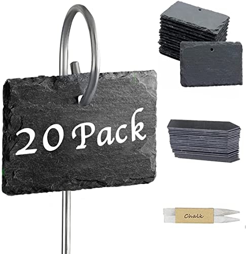 Lot de 20 étiquettes en ardoise naturelle pour plantes d'extérieur