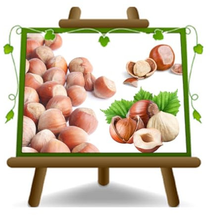 EURO PLANTS VIVAI Nocciolo Tonda Giffoni - Pianta da Frutto Antico su Vaso da 20 cm Altezza 150-170 cm - Età 2 Anni