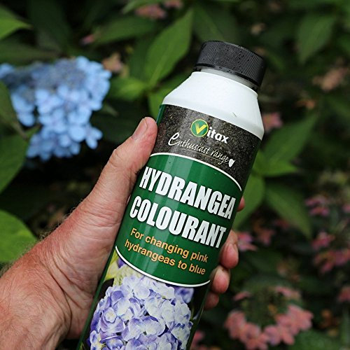 Vitax 250 g Hortensia Coloration