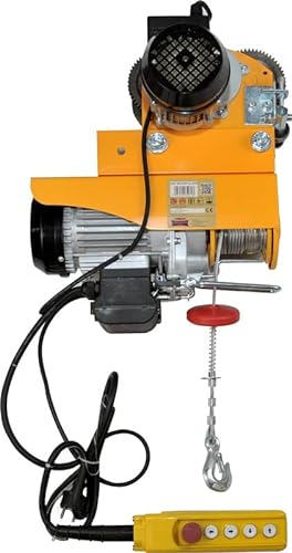 Dragon Winch Polipasto eléctrico 300/600 kg + Carretilla Eléctrica | con altura de elevación 12m/6m con cuerda de acero, freno automático y control remoto para uso en taller, almacén, obra y garaje