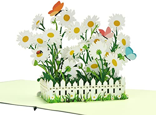 CUTPOPUP Margarita - 3D Tarjeta Cumpleaños, Tarjetas Dia de La Madre, Regalos Originales Para Mujer, Regalos Para Mujer (Daisy) US8-FL093.ES