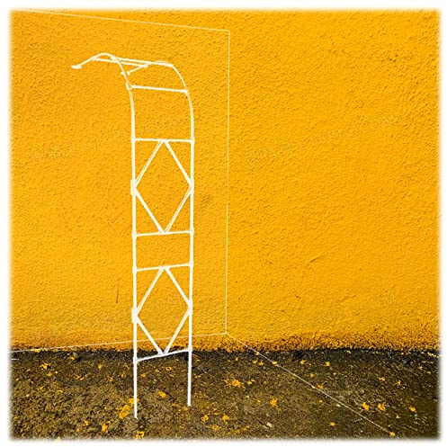 Arco de jardín de metal para plantas trepadoras, enrejado resistente a la intemperie, diseño de medio lado, cenador blanco decorativo, 220 cm de ancho x 240 cm de alto, perfecto para rosas y vides