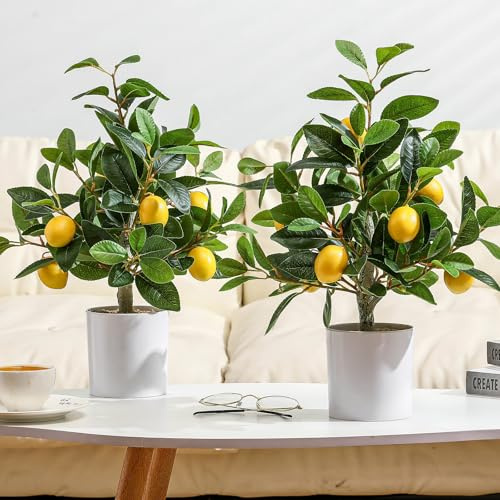 Giegxin 2 Pcs Artificial Lemon Tree 15.7 Inches Fake Artificial Potted Plants Faux Lemon Citrus Tree with Pot Faux Plants Indoor for Home Kitchen Office Living Room Table Desk (White Pot)