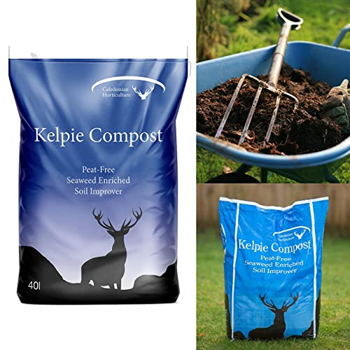 Kelpie Compost' Peat Free Seaweed Enriched Compost 40L Bag - Produced Environmentally Friendly by Caledonian Horticulture - Ideal for Adding Nutrients and Boosting Plant Growth