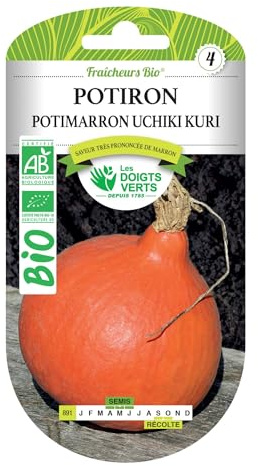 Les doigts verts Semillas de Calabaza potimarron Uchiki Kuri Bio Los Dedos Verdes