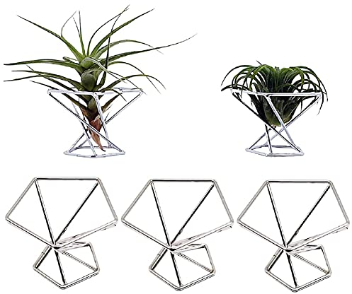 Olsixxuuk Paquete de 5 soportes para plantas de aire, soporte para plantas de aire, pantalla de Tillandsias, plantas purificadoras de aire, contenedores de helecho, plata