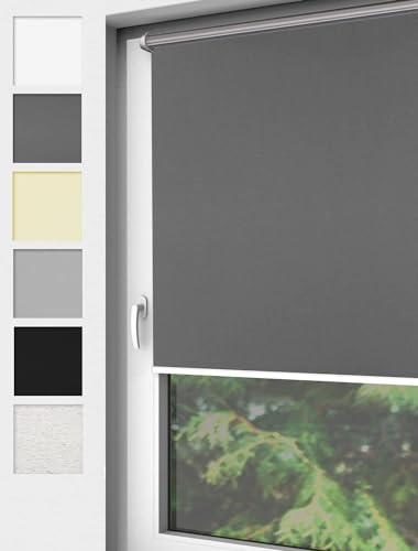 Home-Vision® Verdunkelungsrollo Klemmfix, ohne Bohren mit Klämmträgern, Fensterrollo, Seitenzugrollo, Verdunklungsrollo, Lichtundurchlässig Thermorollo (Graphit, B55cm x H150cm)