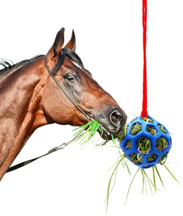 dellyy Futterspielball für Pferde, Futterspielball für Pferde, Futterball für Pferde, Heuball Pferdespielzeug, Heuballen Pferd, Pferd Ball, Für Pferde, Ziegen, Schafe, Schildkröten, zum Stressabbau
