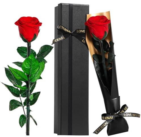 Touloube Ewige Infinity Rosen Geschenk zum Muttertag für Sie, Rot Rose Blumen Geschenke für Frauen, für Mama Freundin Ehefrau Freundinnen, Eternal Rose Geburtstagsgeschenk Jahrestag Geschenk Frau