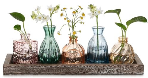 Hewory Glass Bud Vases for Flowers: 5pcs Vintage Small Vases for Table Decoration Centrepiece - Coloured Glass Vase Set with Wood Tray Cystal Flower Vase for Living Room Decor Home Wedding