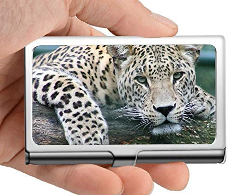 Visitenkartenetui, Säugetier Raubtier Visitenkartenetui Damenfrauen