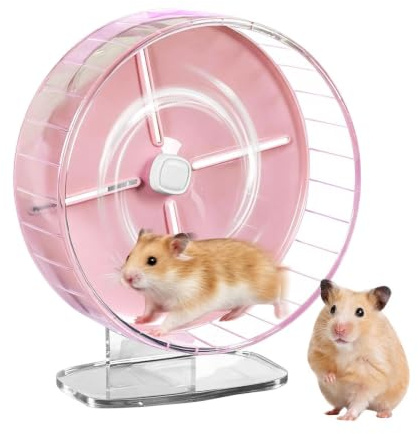 30,5 Cm Stort Hamsterhjul 25,4 cm Löphjul med Justerbart Stativ | Tillbehör för Hamsterlöpning För ökenråttor, möss, chinchillor, illrar, ekorrar, sockerflygare, i , inomhus, utomhus, i