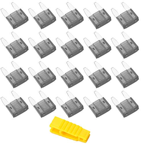 20 Stück 2A Auto Sicherungen Mini, Bolatus Flachsicherung Kfz Sicherungen Auto Sicherunge Stecksicherung Flachsicherungen Set mit 1 Sicherungszieher