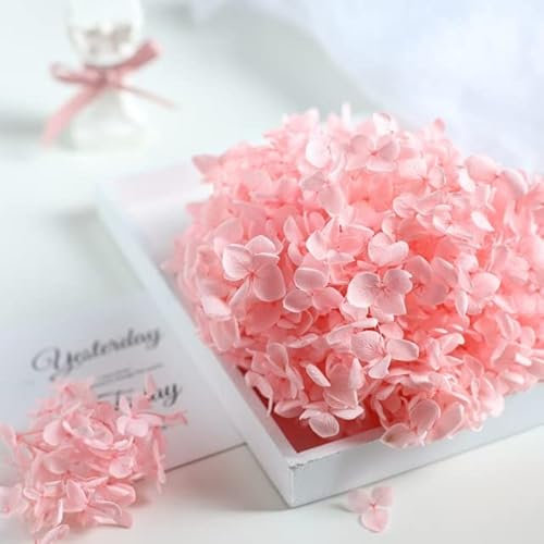 LEEYOX 15 g/Borsa Ortensia Fiore Secco Pianta Naturale Conservato Foglie di Fiori Freschi per Artigianato Fai da Te Decorazione Fiori Eterni Materiale