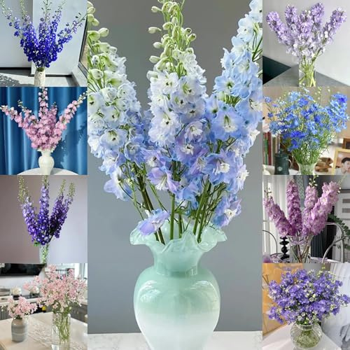 semi resistenti di delphinium da balcone, resistenti di delphinium ornamentali, decorazione, selvatici 40pcs