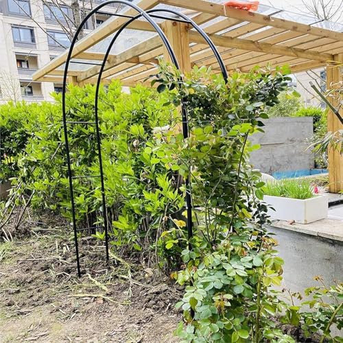 Arche de Treillis de Jardin extérieur, Arche Stable pour Plantes grimpantes de Roses, tonnelle de Mariage de décoration, Cadre de tonnelle en métal L 180 cm 200 cm 240 cm 120 cm, Noir, 140 c