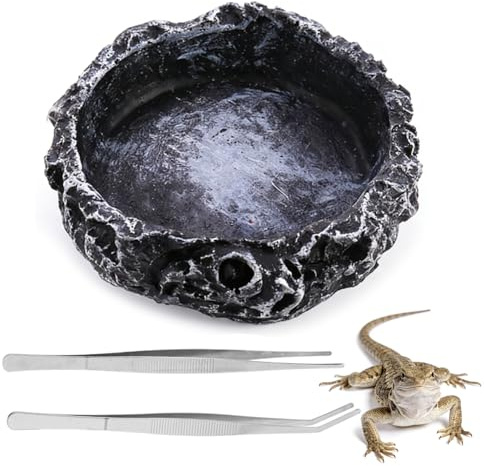Reptile Water Bowl with 2 Tweezers, Bearded Dragon Accessories, Tortoise Water Bowl for Feeding and Hydration Management, Versatile Use Reptile Bowl for Terrarium Enthusiasts