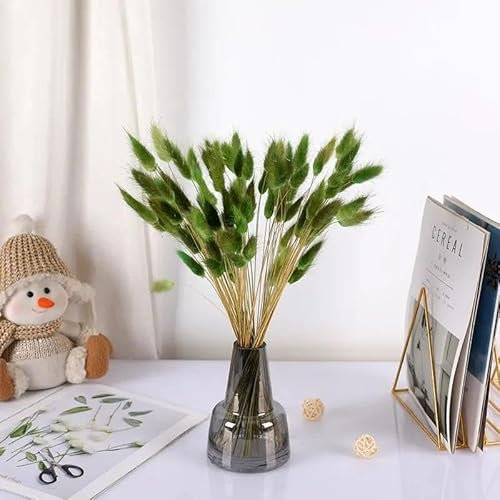 WANYI 60 Stück 43CM Trockenblumen Hasenschwänze Pampasgras Deko Natürliche Boho Trockenblumenstrauß Bunny Tails Getrocknete Blumen für Tischdeko Hochzeitdeko Wohnzimmer Schlafzimmer (Grün)