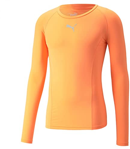 PUMA LIGA Baselayer Tee LS