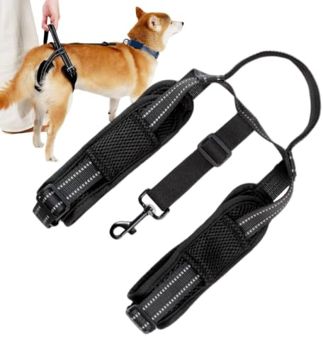 Jinyilwn Hundgrimma sele, bakre ben hundsele – reflekterande remsa justerbar bekväm höftstödssele – hundsele justerbar bekväm hållbar handtag hund lyft sele väst sele