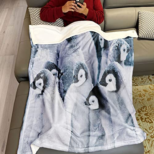 Violetpos Dick Decke Weich Wärme Gemütlich Flanell Fleece Sofadecke Pinguin Tier Schnee Weiß 150 x 200 cm